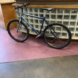 Used Raleigh M-40 Mountain Bike - Blue